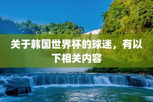关于韩国世界杯的球迷，有以下相关内容