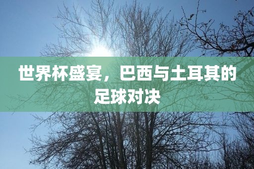 世界杯盛宴，巴西与土耳其的足球对决