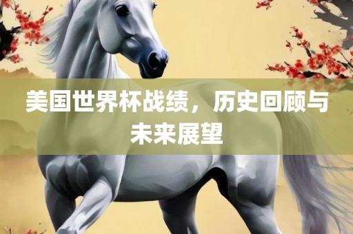 美国世界杯战绩，历史回顾与未来展望