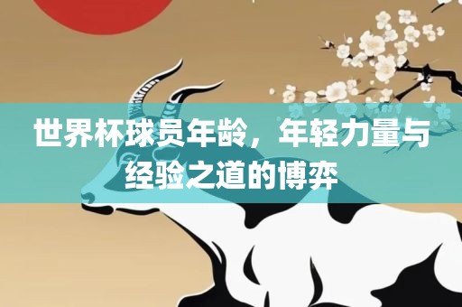 世界杯球员年龄，年轻力量与经验之道的博弈