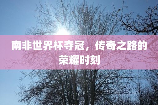 南非世界杯夺冠，传奇之路的荣耀时刻