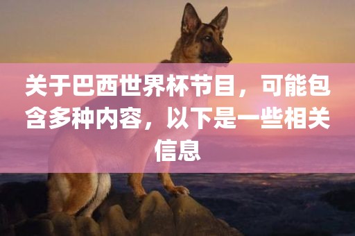 关于巴西世界杯节目，可能包含多种内容，以下是一些相关信息
