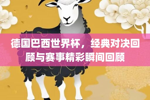 德国巴西世界杯，经典对决回顾与赛事精彩瞬间回顾