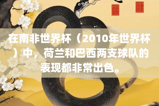 在南非世界杯（2010年世界杯）中，荷兰和巴西两支球队的表现都非常出色。