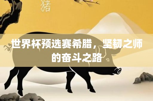 世界杯预选赛希腊，坚韧之师的奋斗之路