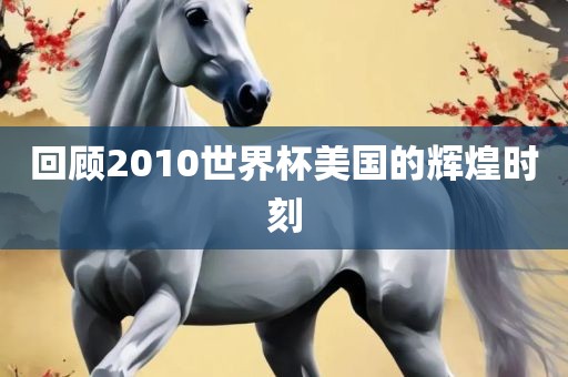 回顾2010世界杯美国的辉煌时刻