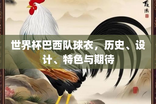 世界杯巴西队球衣，历史、设计、特色与期待