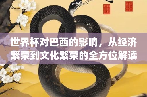 世界杯对巴西的影响，从经济繁荣到文化繁荣的全方位解读