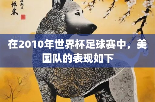 在2010年世界杯足球赛中，美国队的表现如下