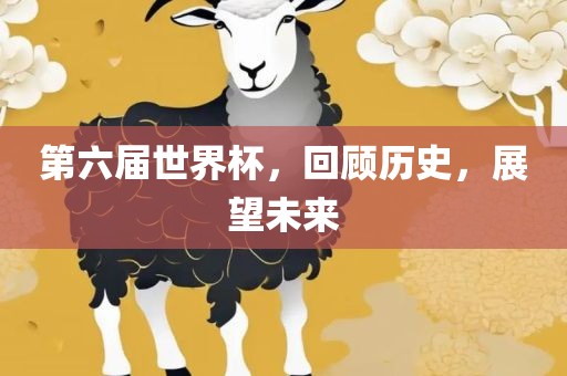 第六届世界杯，回顾历史，展望未来