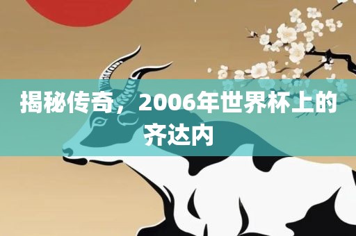 揭秘传奇，2006年世界杯上的齐达内