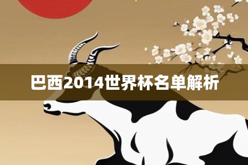 巴西2014世界杯名单解析