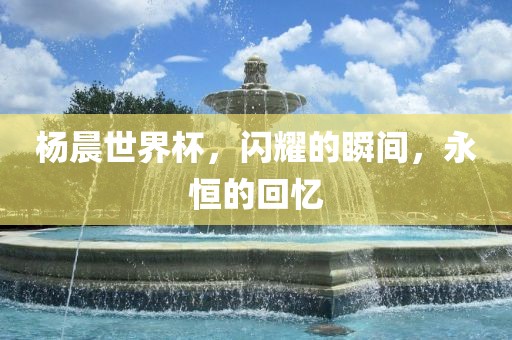 杨晨世界杯，闪耀的瞬间，永恒的回忆