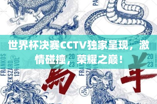 世界杯决赛CCTV独家呈现，激情碰撞，荣耀之巅！