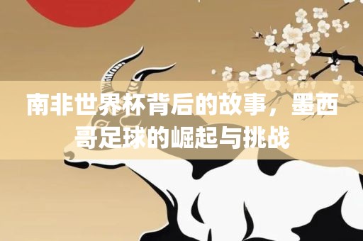 南非世界杯背后的故事，墨西哥足球的崛起与挑战
