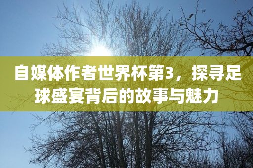 自媒体作者世界杯第3，探寻足球盛宴背后的故事与魅力