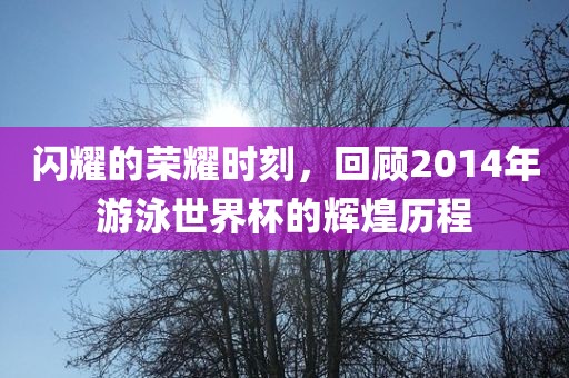 闪耀的荣耀时刻，回顾2014年游泳世界杯的辉煌历程
