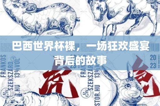 巴西世界杯裸，一场狂欢盛宴背后的故事