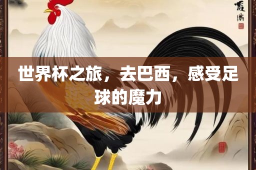 世界杯之旅，去巴西，感受足球的魔力