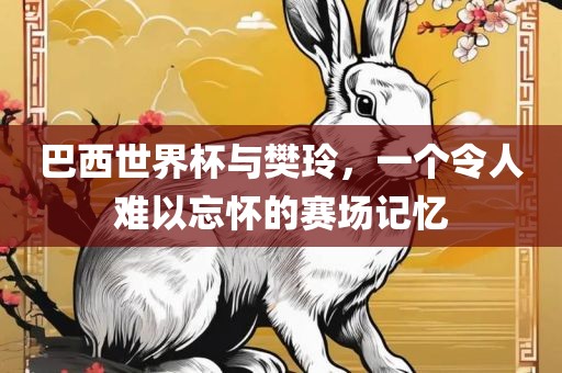 巴西世界杯与樊玲，一个令人难以忘怀的赛场记忆