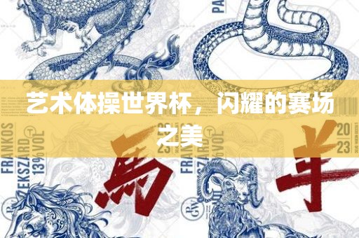 艺术体操世界杯，闪耀的赛场之美