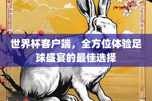 世界杯客户端，全方位体验足球盛宴的最佳选择