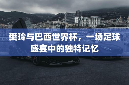 樊玲与巴西世界杯，一场足球盛宴中的独特记忆