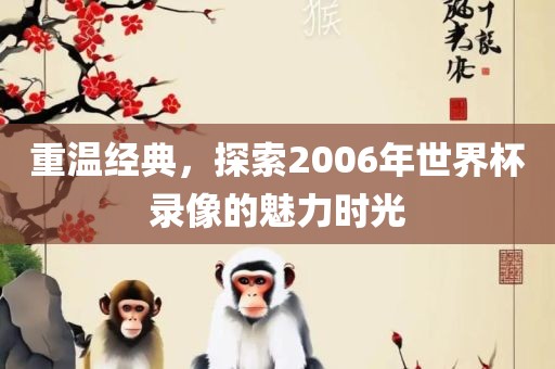 重温经典，探索2006年世界杯录像的魅力时光