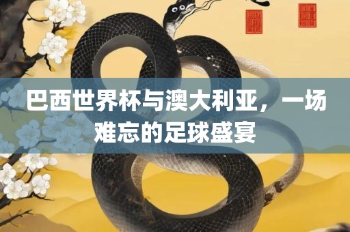 巴西世界杯与澳大利亚，一场难忘的足球盛宴
