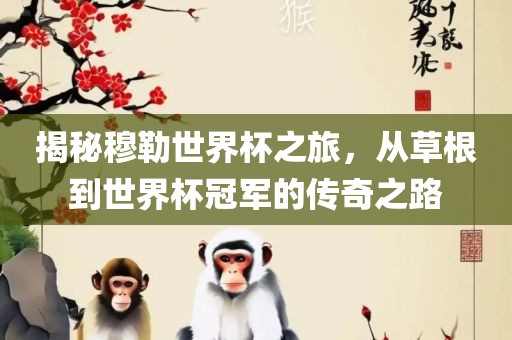 揭秘穆勒世界杯之旅，从草根到世界杯冠军的传奇之路