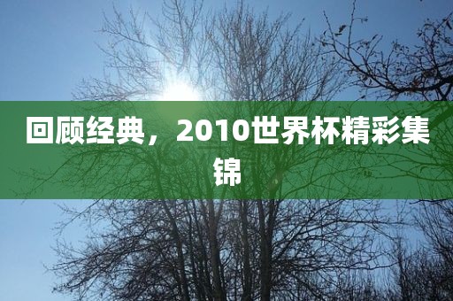 回顾经典，2010世界杯精彩集锦