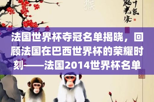 法国世界杯夺冠名单揭晓，回顾法国在巴西世界杯的荣耀时刻——法国2014世界杯名单