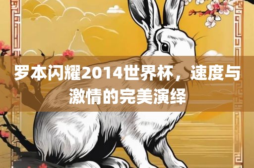 罗本闪耀2014世界杯，速度与激情的完美演绎