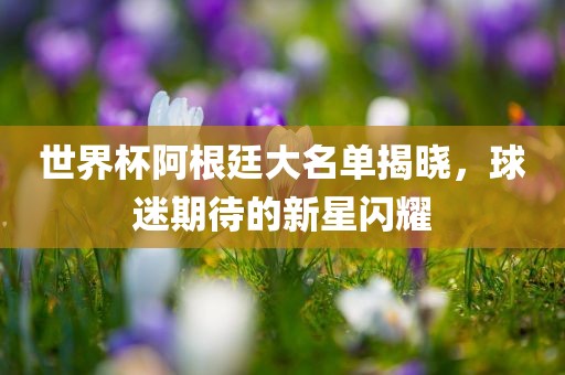 世界杯阿根廷大名单揭晓，球迷期待的新星闪耀