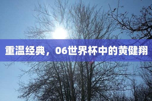 重温经典，06世界杯中的黄健翔