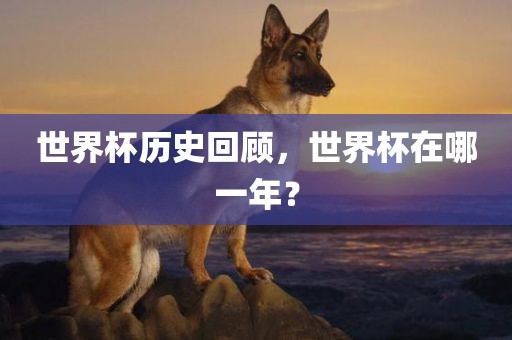 世界杯历史回顾，世界杯在哪一年？