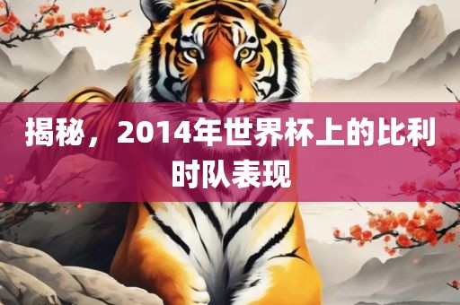 揭秘，2014年世界杯上的比利时队表现
