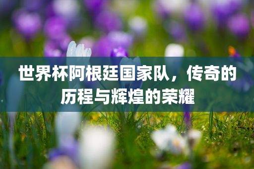 世界杯阿根廷国家队，传奇的历程与辉煌的荣耀