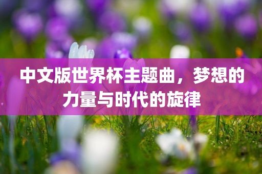 中文版世界杯主题曲，梦想的力量与时代的旋律