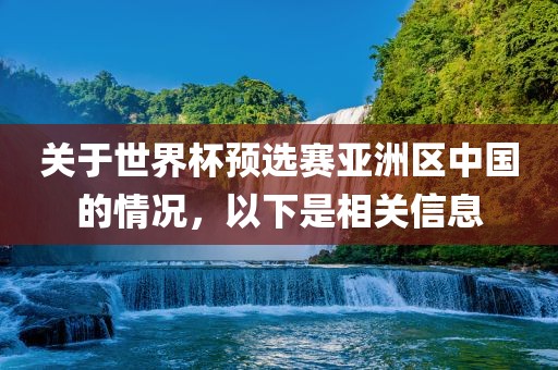 关于世界杯预选赛亚洲区中国的情况，以下是相关信息