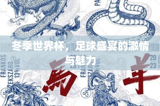 冬季世界杯，足球盛宴的激情与魅力