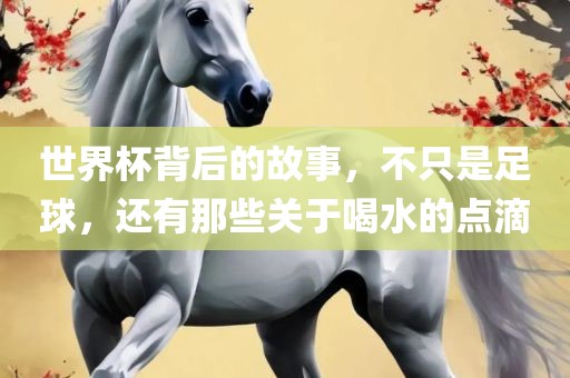 世界杯背后的故事，不只是足球，还有那些关于喝水的点滴