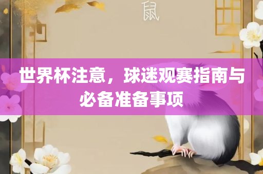 世界杯注意，球迷观赛指南与必备准备事项