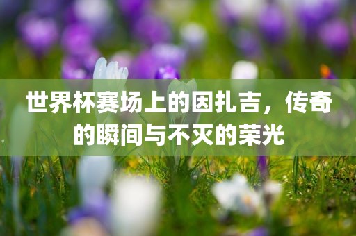 世界杯赛场上的因扎吉，传奇的瞬间与不灭的荣光