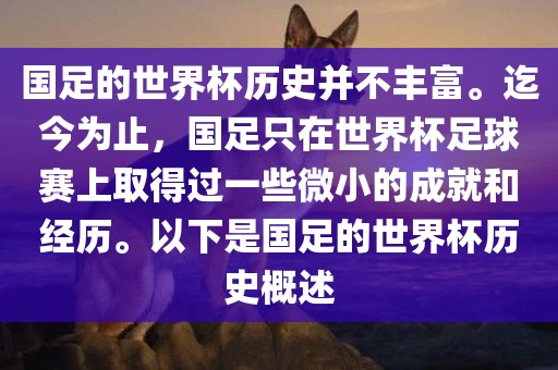 国足的世界杯历史并不丰富。迄今为止，国足只在世界杯足球赛上取得过一些微小的成就和经历。以下是国足的世界杯历史概述