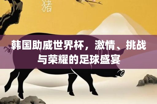 韩国助威世界杯，激情、挑战与荣耀的足球盛宴