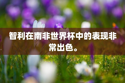 智利在南非世界杯中的表现非常出色。