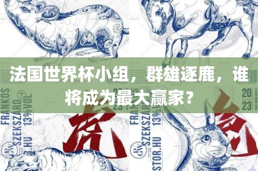 法国世界杯小组，群雄逐鹿，谁将成为最大赢家？