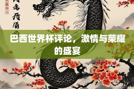 巴西世界杯评论，激情与荣耀的盛宴