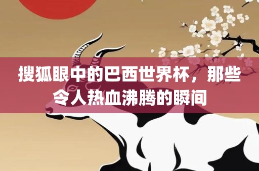 搜狐眼中的巴西世界杯，那些令人热血沸腾的瞬间